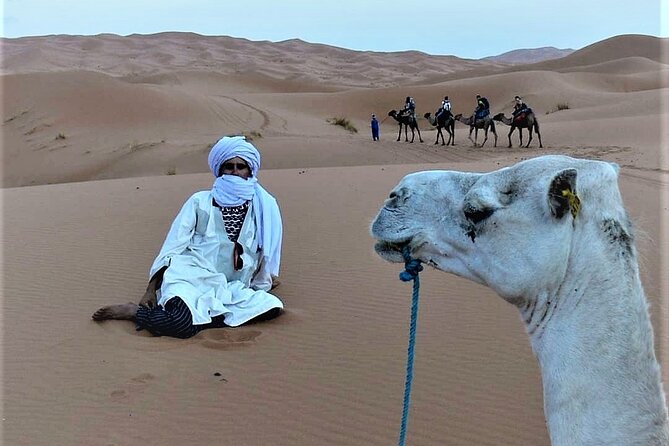 1 Night Camel Trek Over Erg Chebbi Dunes Merzouga No Extra - Sandboarding Down the Dunes