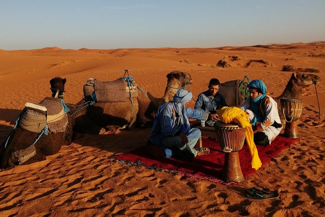1 Night Camel Trekking Tour in Merzouga Desert Camp - Meeting and Pickup