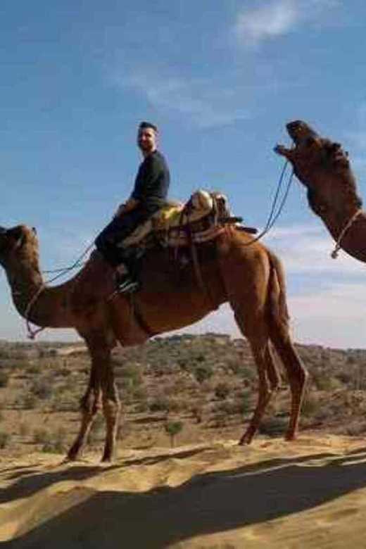 1 Night Desert Experience Sleeping Under Star Near Jodhpur - Key Points