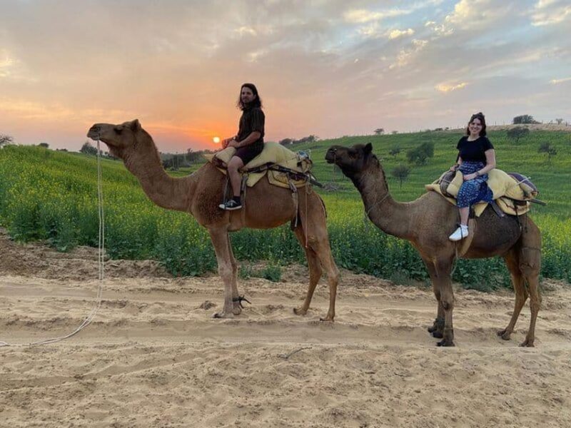 1 Night Desert Experience Sleeping Under Star Near Jodhpur - Booking and Availability