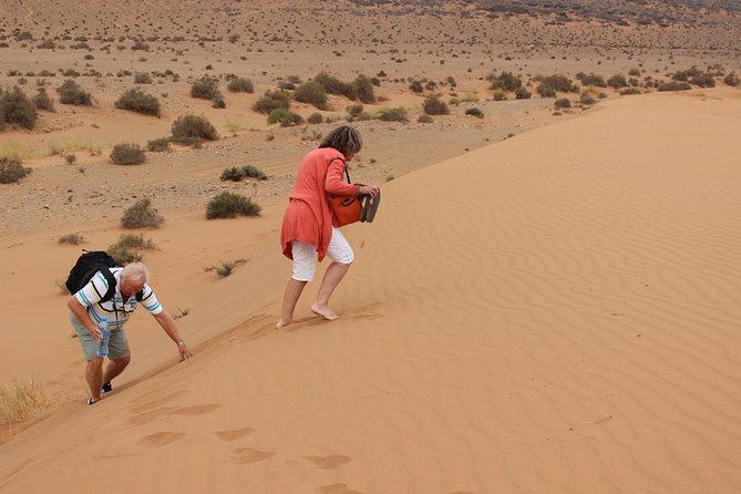 1 Night in Desert From Agadir - Pricing Information