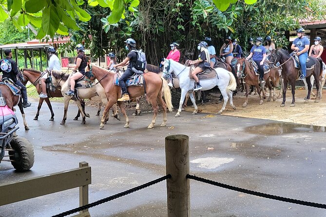 1 or 2 Hour Puerto Rico Horseback Ride Experience! - About Your Stay