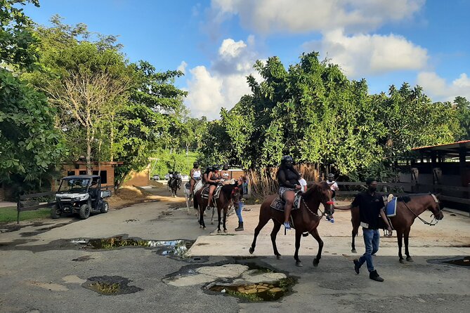 1 or 2 Hour Puerto Rico Horseback Ride Experience! - Additional Information