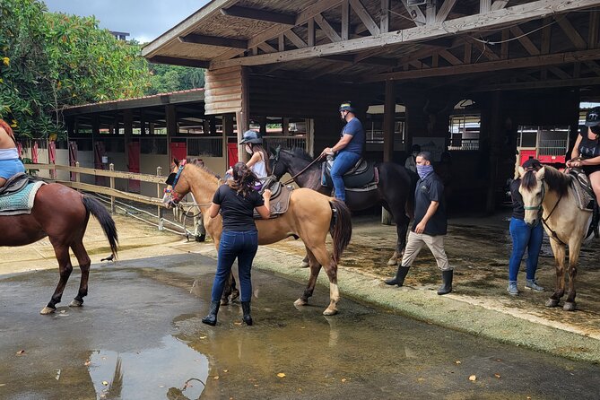 1 or 2 Hour Puerto Rico Horseback Ride Experience! - Questions About Your Stay