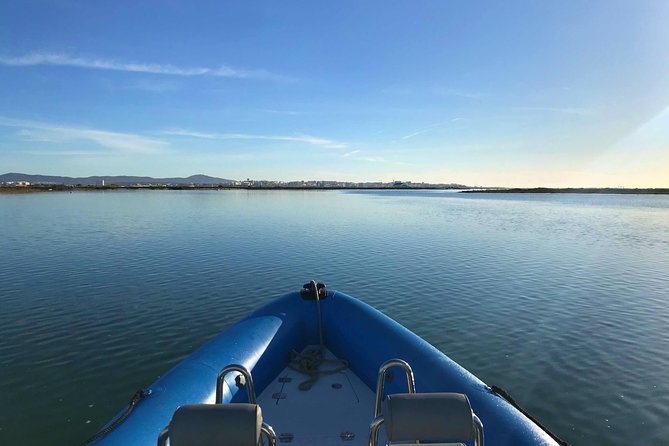 1 or 2 Hour Speed Boat Tour - Ria Formosa - Tour Features