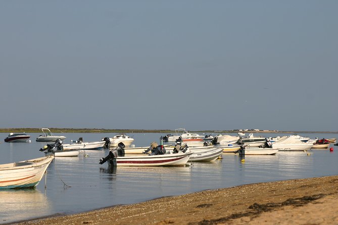 1 or 2 Hour Speed Boat Tour - Ria Formosa - Booking Information