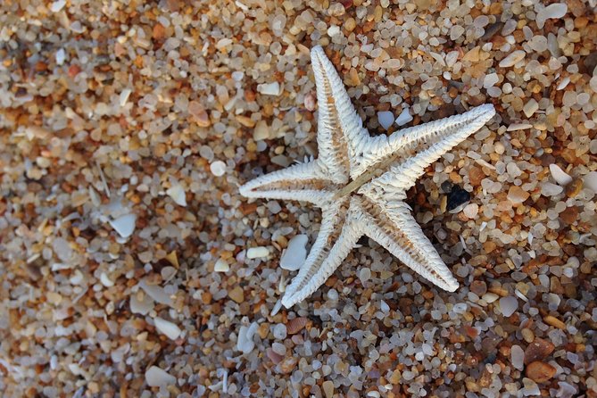 1 or 2 Hour Speed Boat Tour - Ria Formosa - Price and Availability