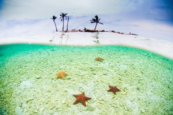 1- or 2-Night Experience in San Blas Islands - Guest Reviews and Feedback