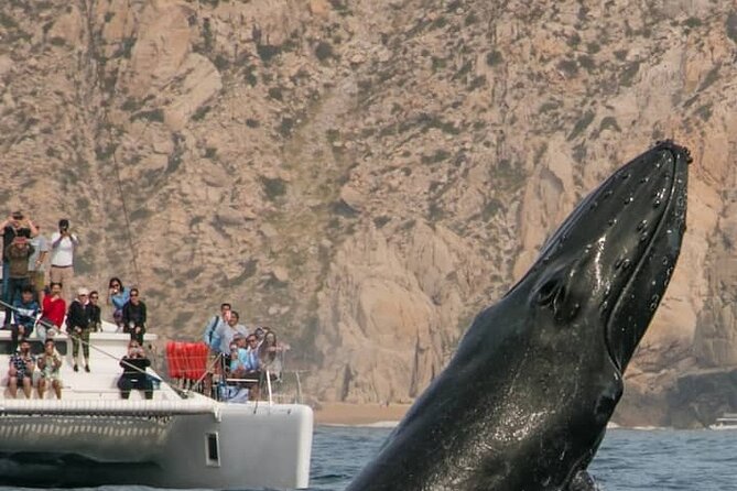 #1 Snorkeling Tour in Catamaran. Open Bar & Snacks Included - Customer Ratings and Feedback