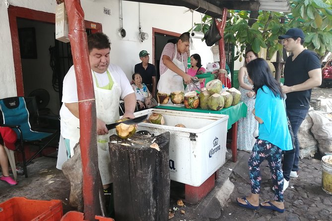 1 to 6 Passengers Vallarta Private City Tour - Policies