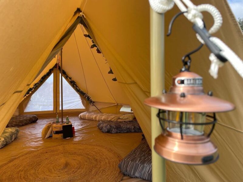 #1 Unforgettable Christchurch Glamping Accommodation - Booking and Cancellation