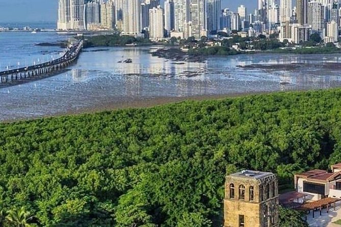 #1 Walking Tour in Casco Viejo, Panama Canal Museum & Lunch - Dining Options