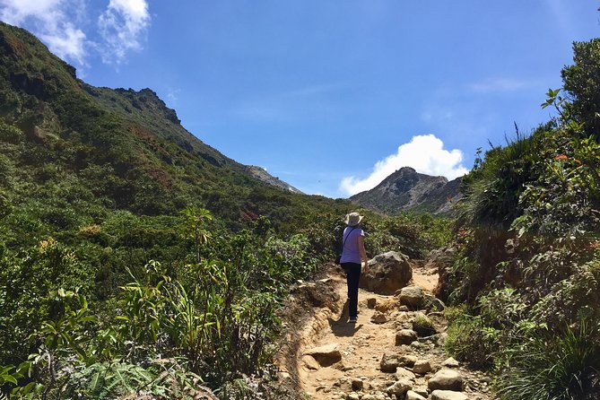 1 Week Private Round Trip North Sumatra - Activity Level