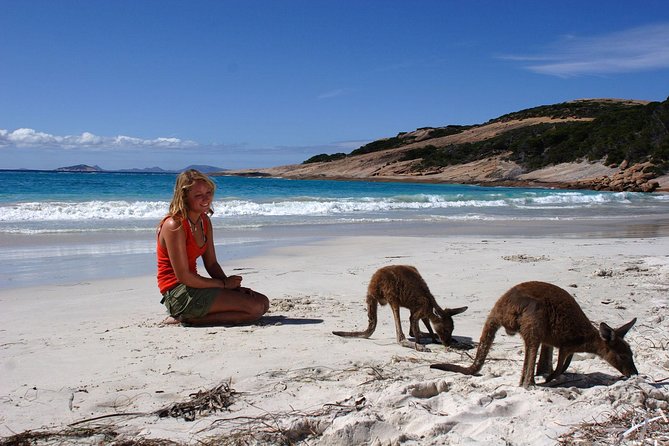 10-Day Adelaide to Perth Adventure Tour - Meeting and Pickup