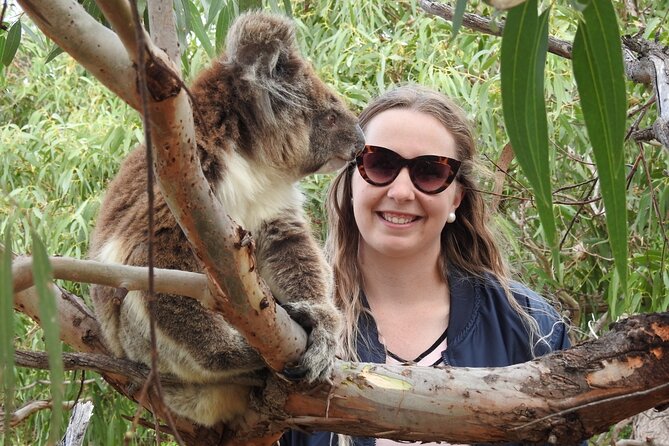 10-Day Adelaide to Perth Adventure Tour - Accommodations