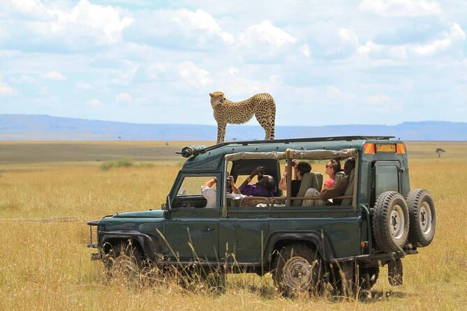 10-DAY African Safari in Uganda From Kampala - Tour Logistics and Requirements