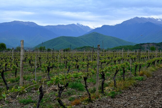 10-Day Best of Georgia Tour - Hike in the Caucasus Mountains