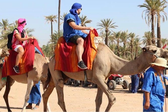 10 Day Classic Tour - Casablanca > Casablanca - Accessibility and Participation