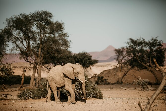 10 Day Discover Namibia Small Group Safari - Itinerary Overview
