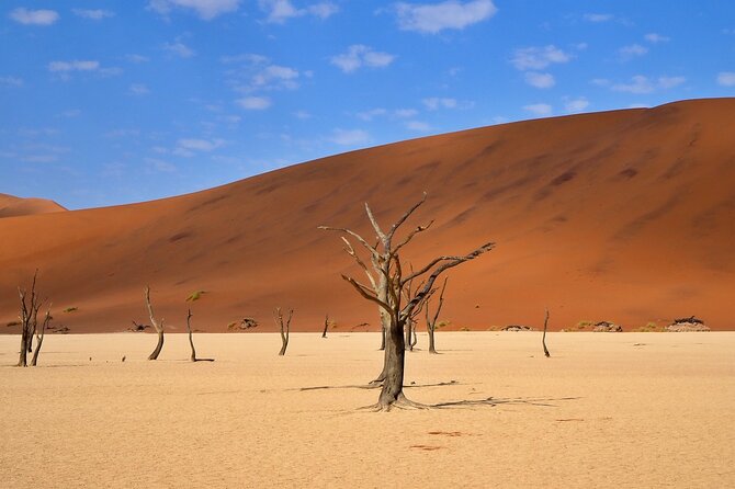 10 Day Discover Namibia Small Group Safari - Accommodation Details