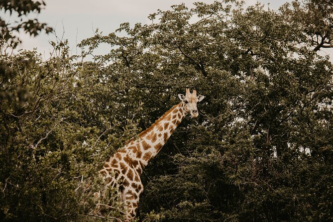 10 Day Discover Namibia Small Group Safari - Traveler Reviews and Ratings