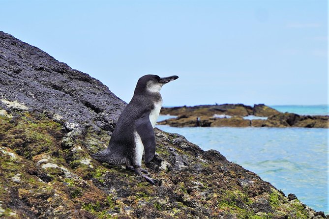 10-Day Galapagos Multi-Sport - Transportation and Logistics