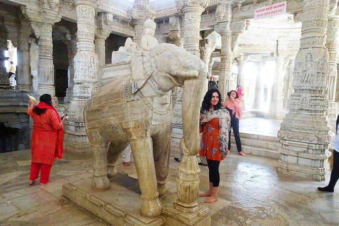 10-Day India Tour: Golden Triangle Review - Recap