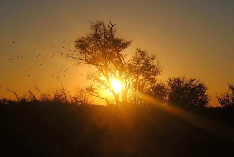 10 Day Kruger and Beyond Photographic Tour - Panorama Route