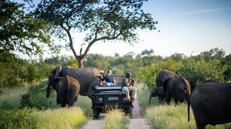 10 Day Kruger and Beyond Photographic Tour - Timbavati Private Game Reserve