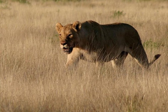 10-DAY Namibia Hightlights Guided Tour From Windhoek - Logistics and Inclusions of the Tour