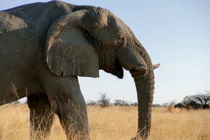 10-DAY Namibia Hightlights Guided Tour From Windhoek - Traveler Suitability and Group Size