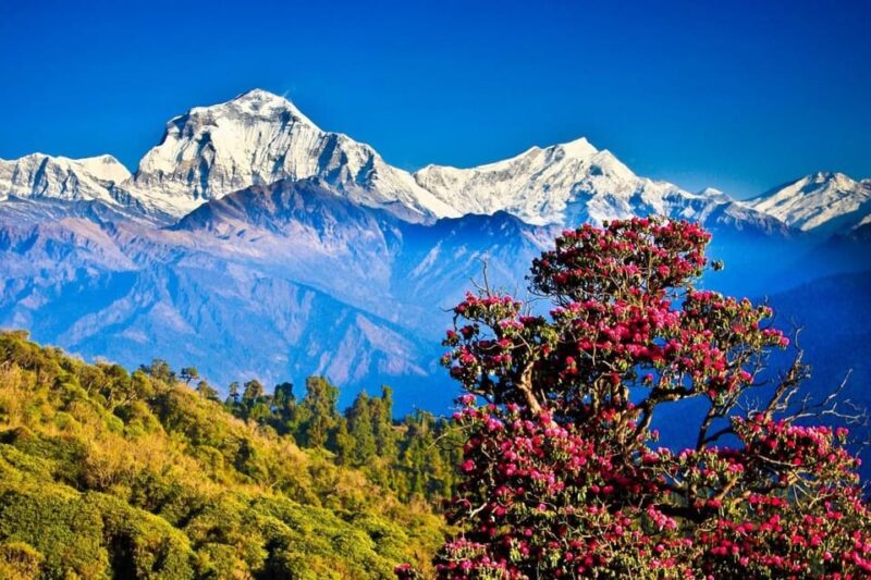 10-Day Poon Hill and Annapurna Base Camp Trek Pokhara - Charming Villages and Terraced Fields