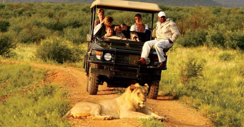 10 Day Private Safari : Johannesburg to Cape Town - Kruger National Park Safari
