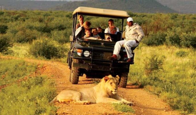 10 Day Private Safari : Johannesburg to Cape Town - Garden Route Exploration