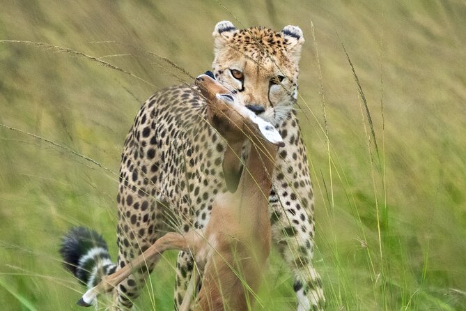 10-Day Private Tour in Big Five Safari and Beaches - Langata Giraffe Center