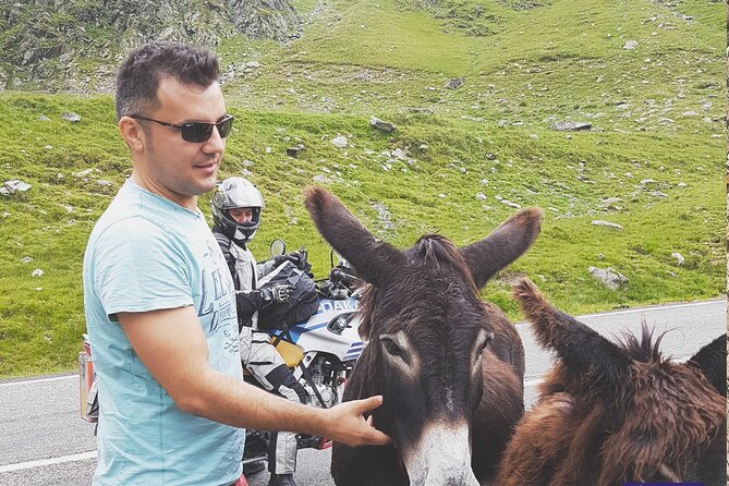 10-DAY Private Tour of Romania With Pick up - Flexibility and Customization