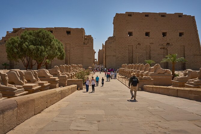 10-DAY Private Tour to Egypt From Hurghada to the White Desert - Pickup and Transportation