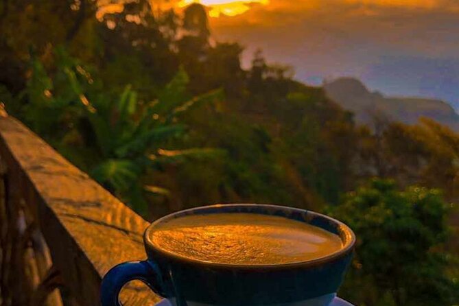 10 Day Private Uganda and Rwanda Safari With Accommodation - Accommodation Details