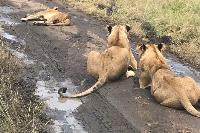 10 Day Private Uganda and Rwanda Safari With Accommodation - Itinerary Highlights