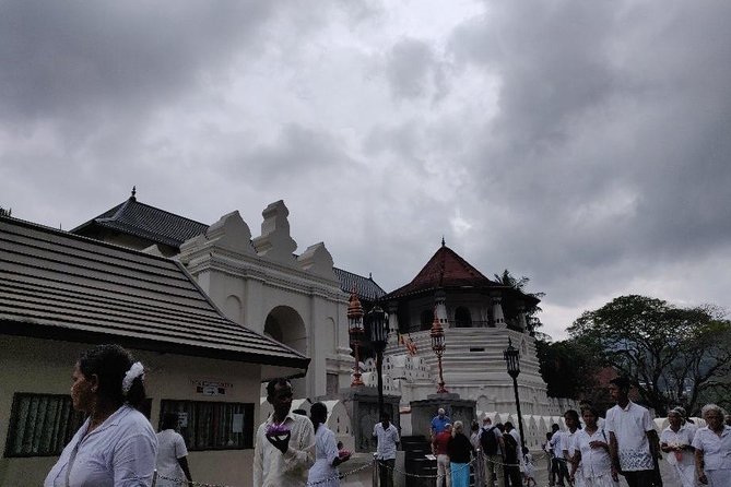 10 Day Round Tour in Sri Lanka - Accessibility Details