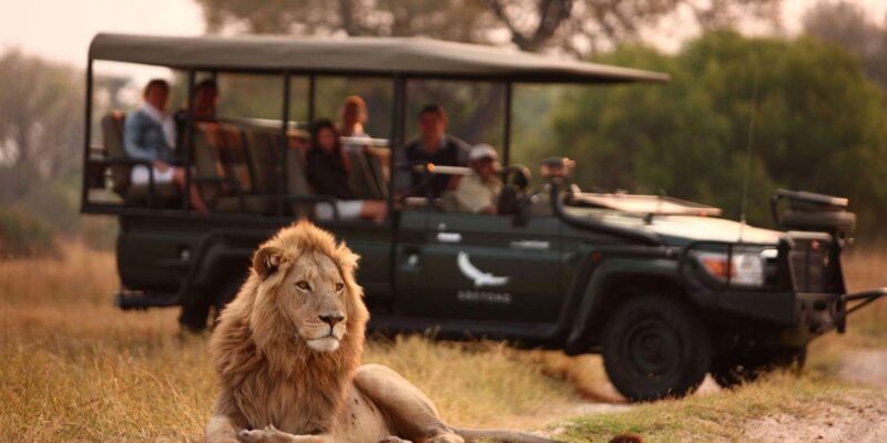 10 Day Safari - Johannesburg to Cape Town - Cultural Experiences