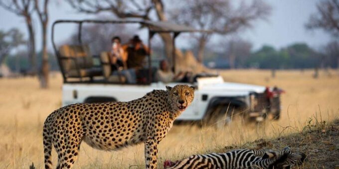10 Day Safari - Johannesburg to Cape Town - Accommodation and Inclusions
