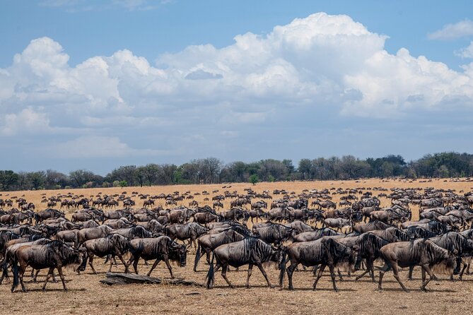 10-DAY Serengeti Wildebeest Migration Safari From Arusha - Meals and Dining