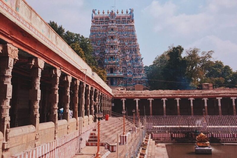 10-Day Taj Mahal and Wildlife Tour of Tamil Nadu - Key Points
