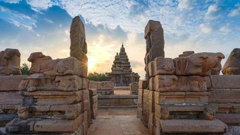 10-Day Taj Mahal and Wildlife Tour of Tamil Nadu - Experience Highlights