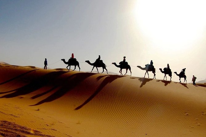 10 Day Tour of Morocco From Marrakech - Accommodation and Meals