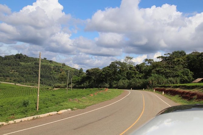 10 Day Western Uganda Budget Wildlife Safari - What to Expect