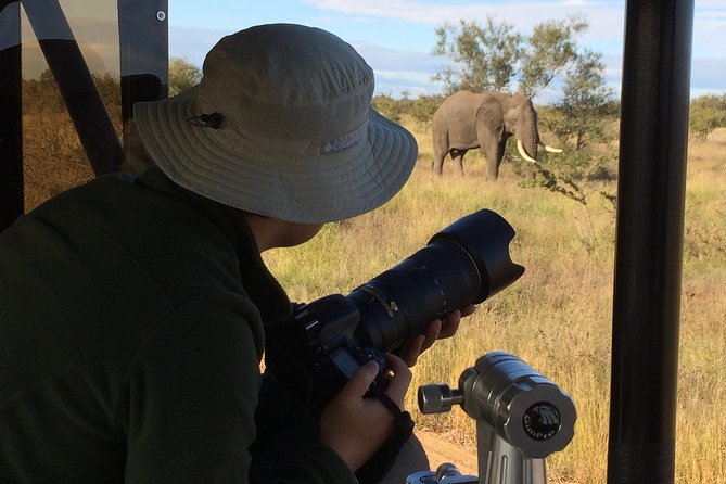 10 Day Wildlife Photographic Safari - Kruger National Park - B1 Photo Safaris - Perfect Customer Reviews