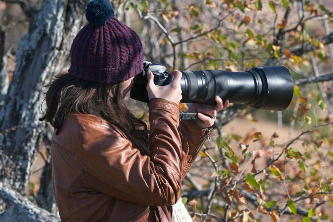 10 Day Wildlife Photographic Safari - Kruger National Park - B1 Photo Safaris - Safari Pricing