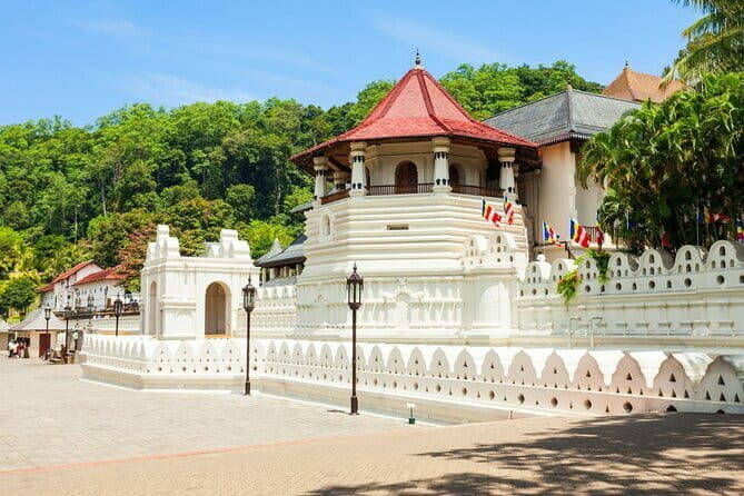 10 Days/ 9 Nights - Heritage Wildlife and Waves in Sri Lanka - What the Tour Offers: A Day-by-Day Breakdown
